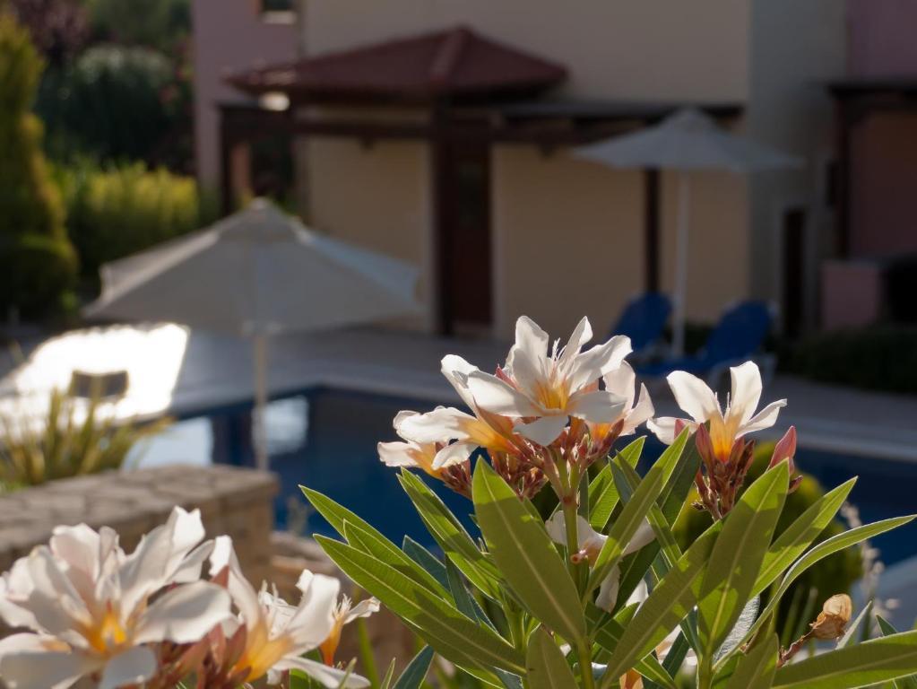 Eligia Villas Mixorrouma Ruang foto